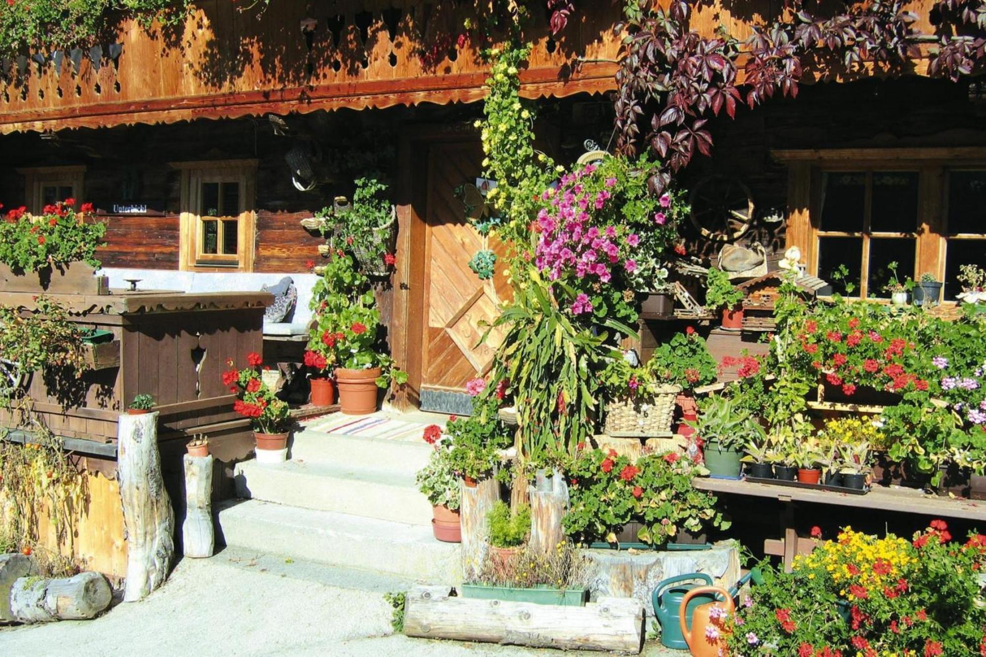 Apartments Schatzberg-Haus, Wildschoenau-Auffach Exterior foto